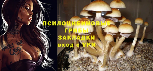 прущие крисы Арсеньев