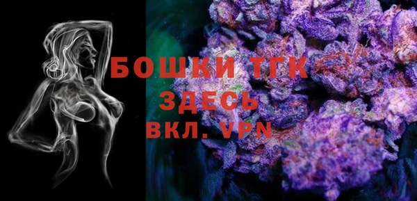 прущие крисы Арсеньев