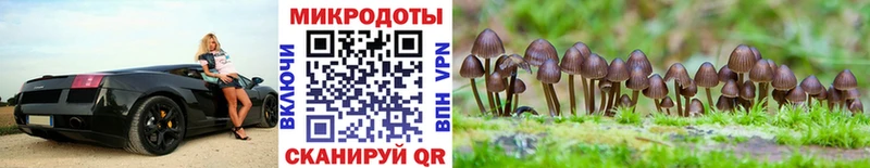 закладки Соликамск shop клад Галлюциногенные грибы ЛСД